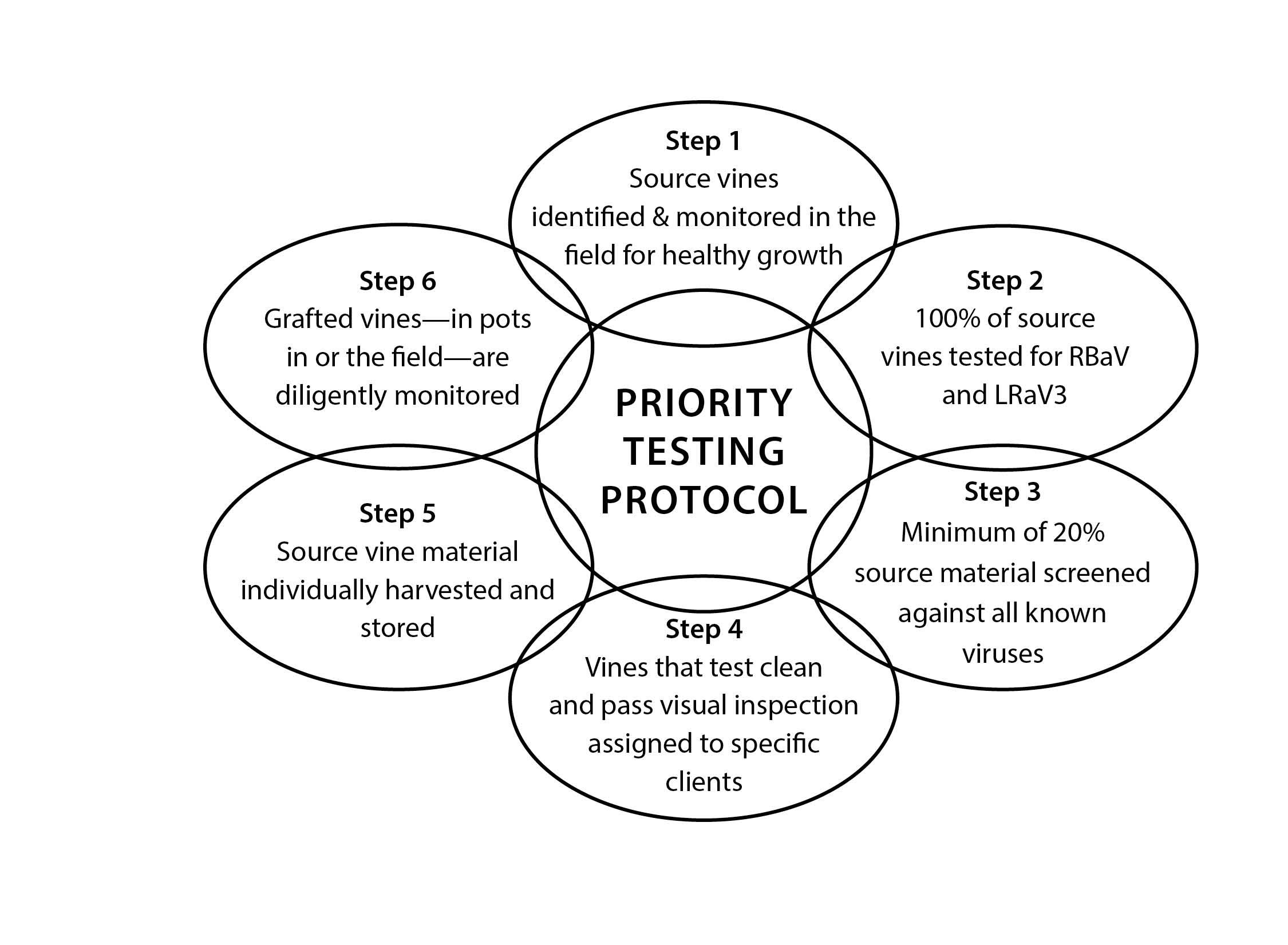 Key Challenges and Considerations for Testing Protocols