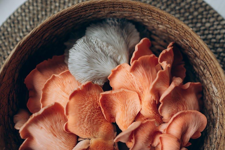 exploring the Cognitive Benefits of ‌Lion's Mane Mushroom ​Supplements