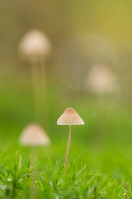 Evaluating​ Potency: How Growing Conditions Affect Bioactive​ Compounds