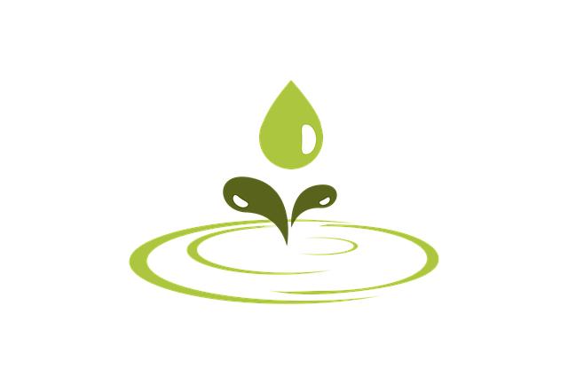 Sustainable ⁤Choices: Why Manduka's Eco-Friendly ⁢Products Matter