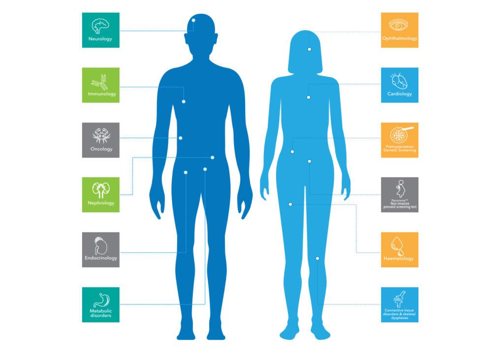 tailoring Nutritional Strategies: The Role of Genetic Insights in Weight Management