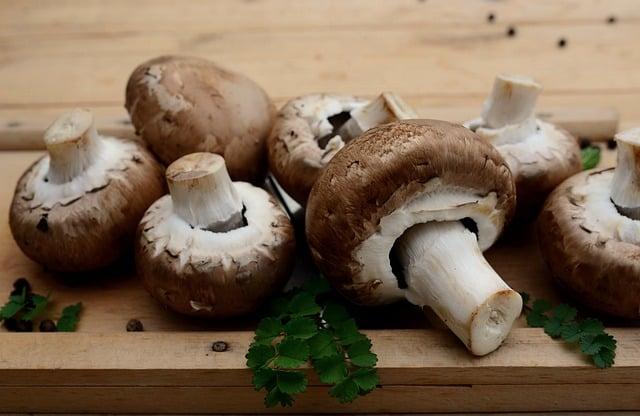 Examining Ingredient Integrity: Unveiling Hidden ⁣Risks ⁤in Weight Loss Supplements