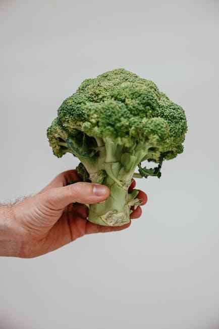 Exploring the​ Science‌ Behind Sustainable⁤ Weight Loss Solutions