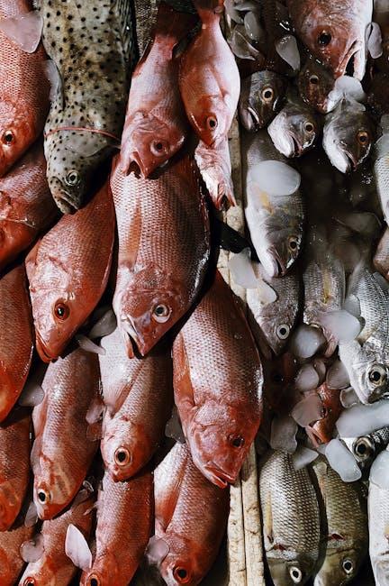 Making the Right⁣ Choice: Tailoring Protein Selection to Your Needs