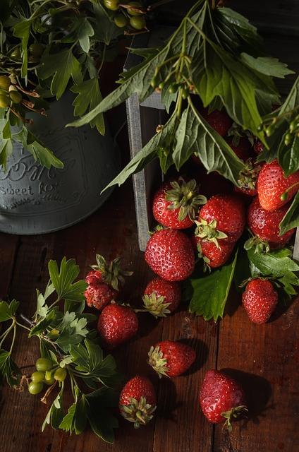 Understanding Organic Prenatal Vitamins and Their Importance for Maternal Health
