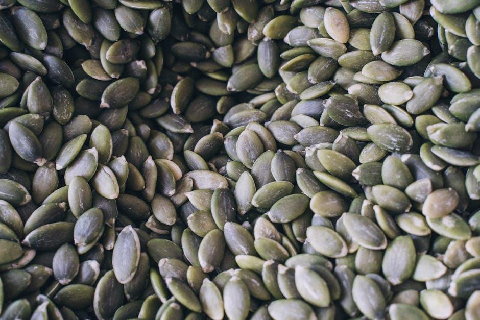 Understanding the Mechanisms: How Magnesium Forms Influence Neurotransmission
