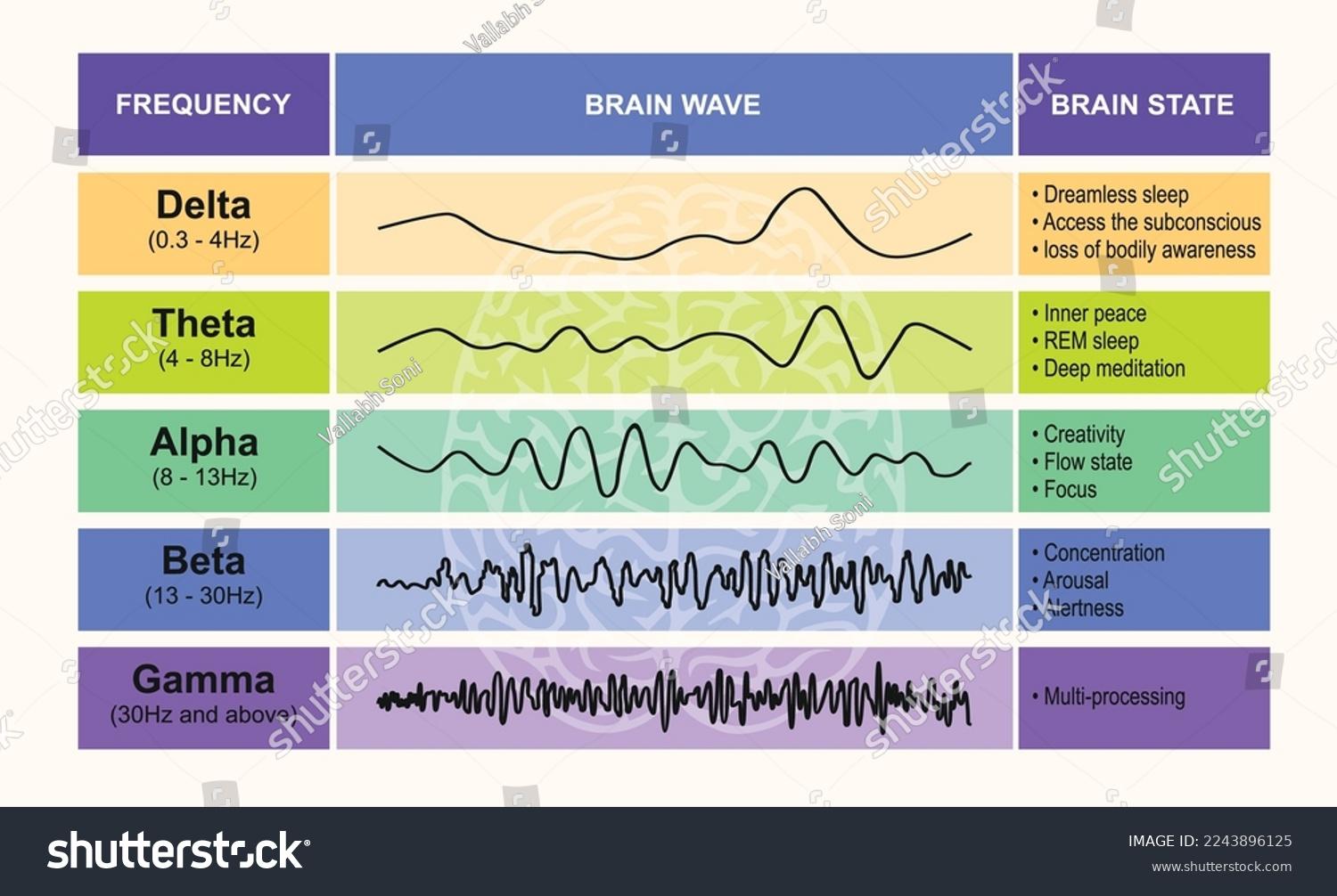 Understanding Brain Wave Patterns​ and Their Connection ⁤to Stress Management