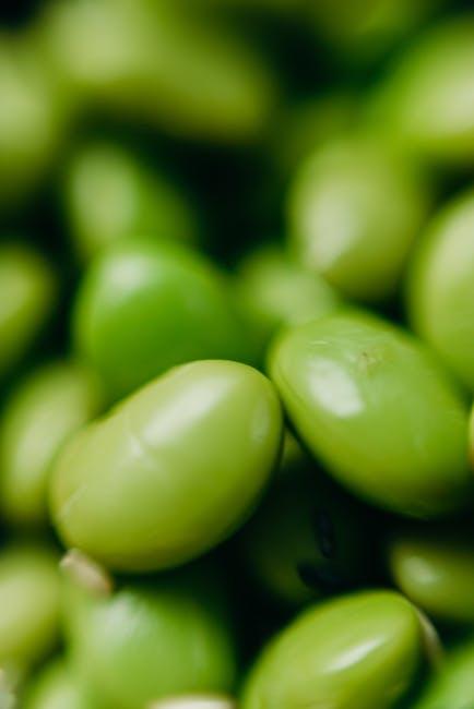 Exploring Flavor‍ Profiles ⁣of Leading Organic Plant Protein Powders