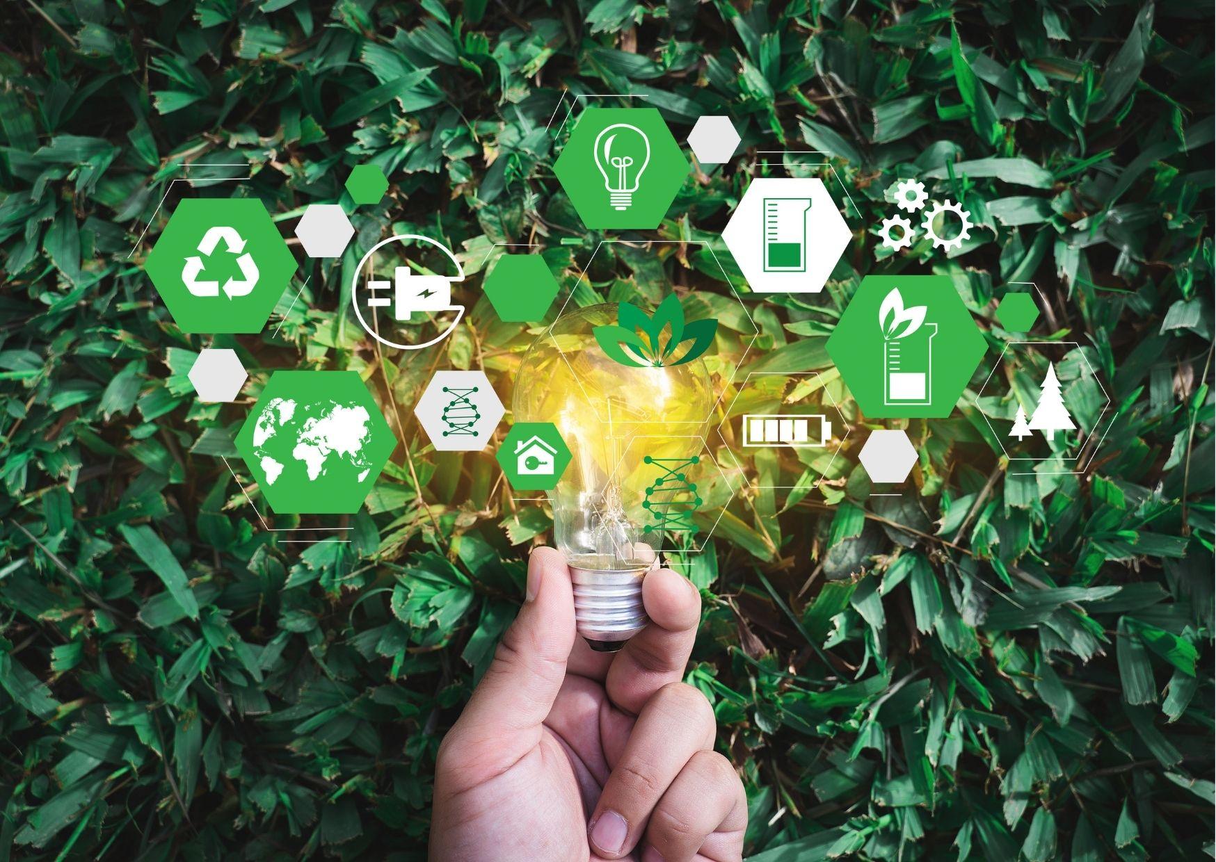 Sustainability​ Practices: Evaluating Eco-Friendliness in ⁢Retreat ⁢Options