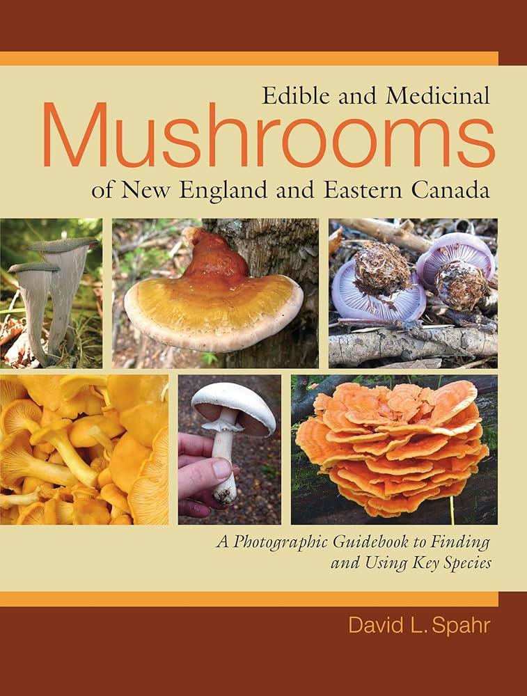 Sustainability ​Considerations in Sourcing ⁣Medicinal Mushrooms