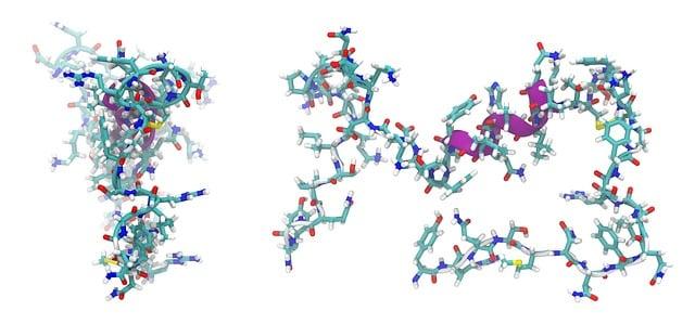 The Science Behind Collagen's Effect on Skin Elasticity