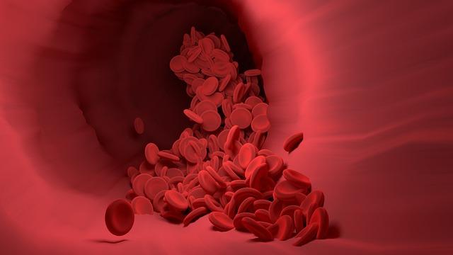 Unleashing the Pump: Key Ingredients That Enhance Blood Flow and Muscle Performance
